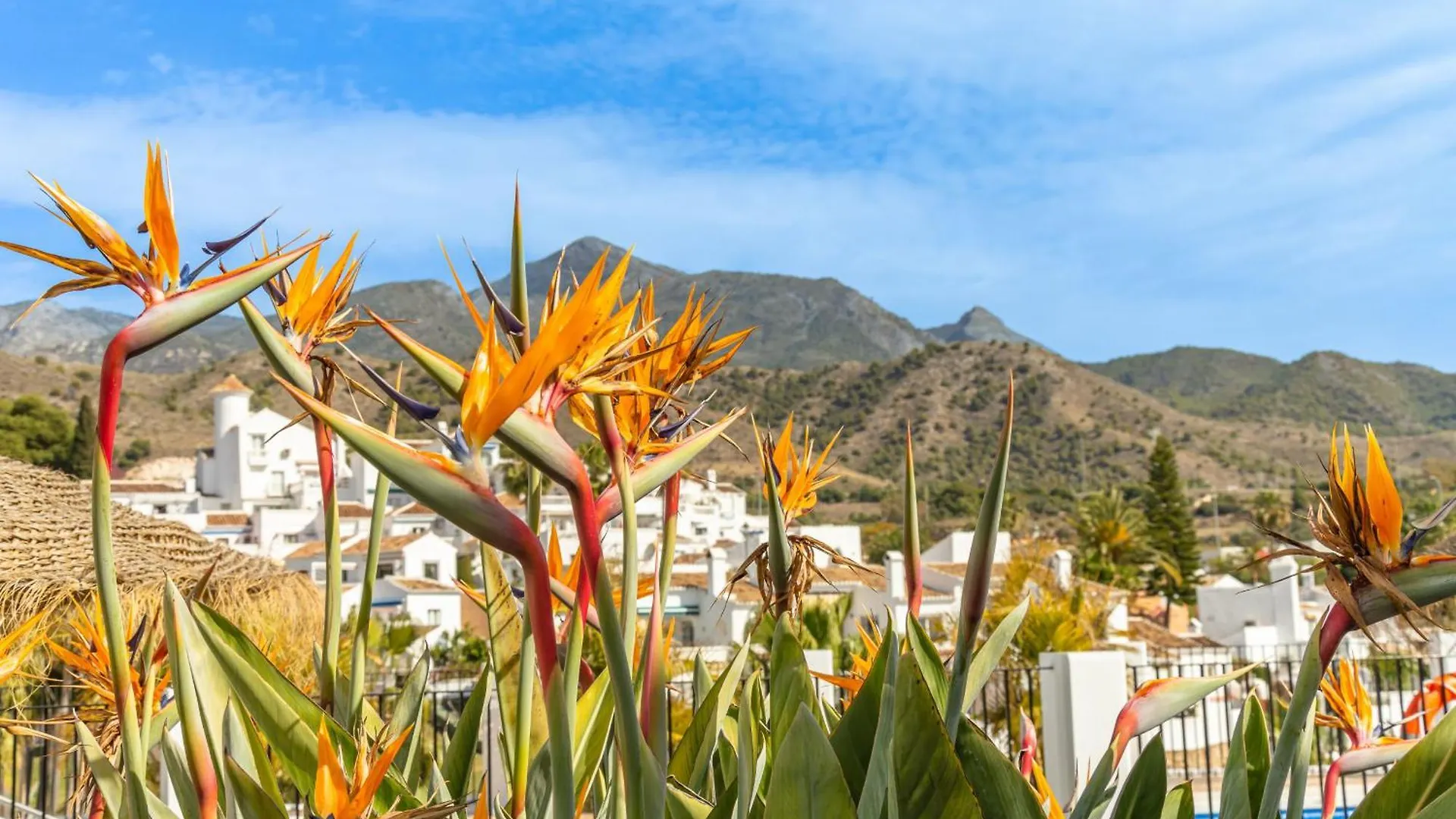 Casablanca 35 Oasis Properties Nerja 0*,  Spain